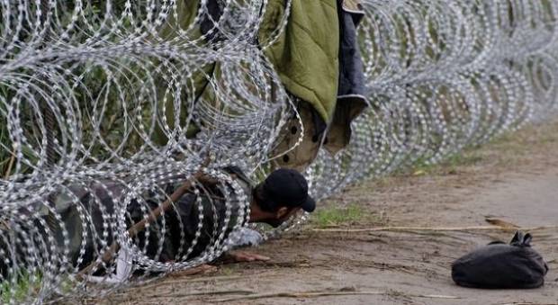 Qeveria Hungareze do të përforcojë gardhin kufitar