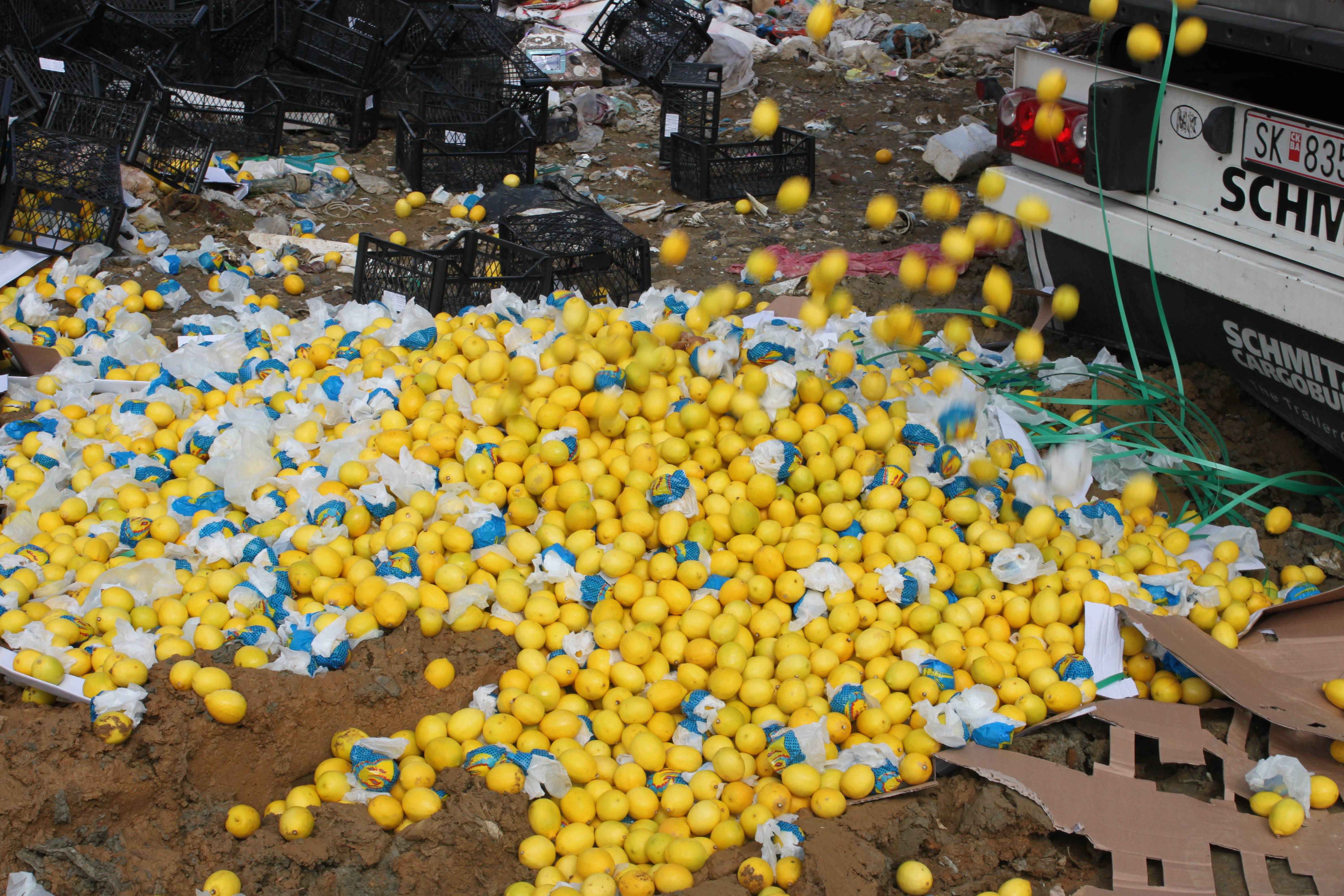 Asgjësohen 23 ton limon me pesticide