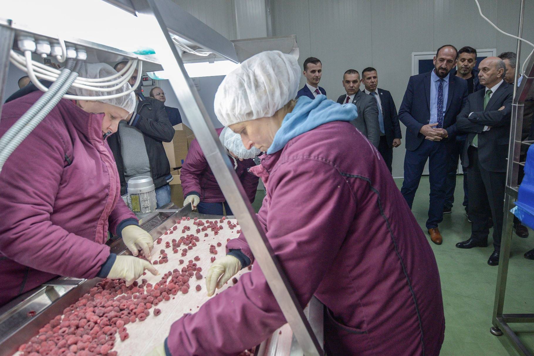 Bizneset e vogla dhe të mesme perspektiva zhvillimore e Kosovës