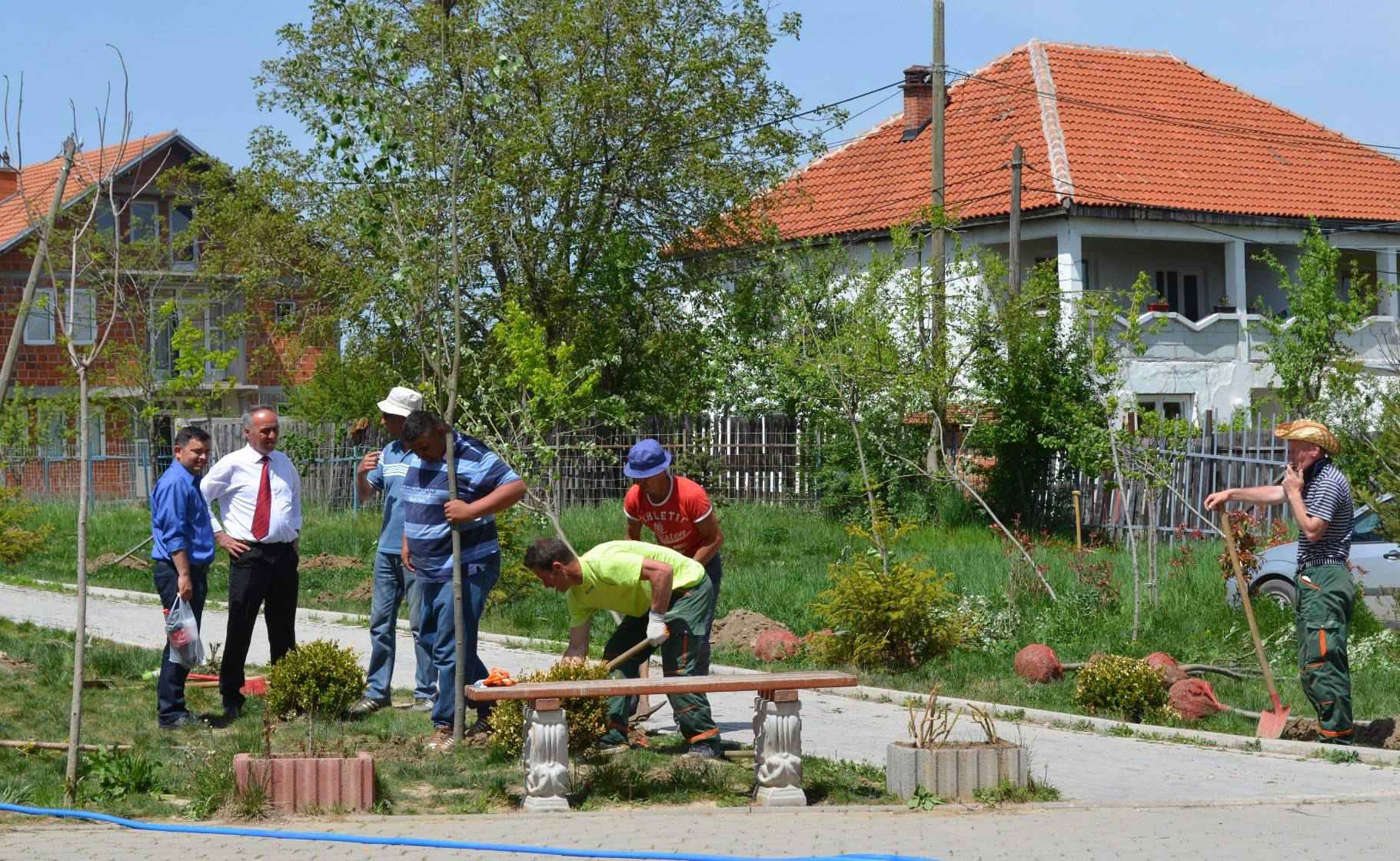 Filloj mbjellja e drunjve nëpër qytet