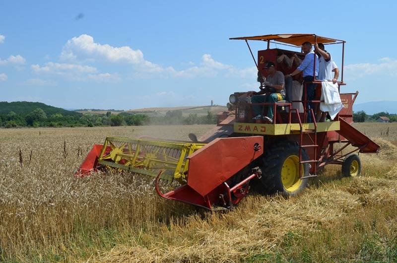 Fillojnë korrjet e grurit në fshatin Novakë të Prizrenit