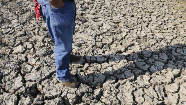 Thatësira dëmton fermerët në Oklahoma