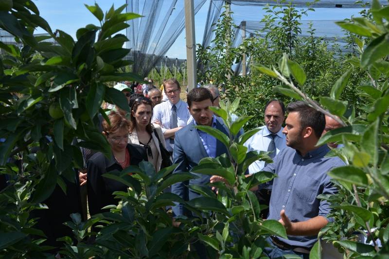 Lansohet projekti 12 milionë dollarë i USAID në bujqësi