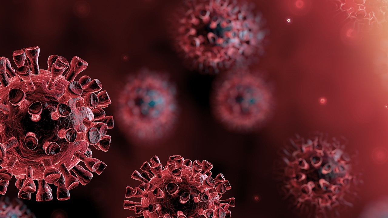 Në 24 orët e fundit nga koronavirusi kanë vdekur 11 persona dhe 141 të infektuar