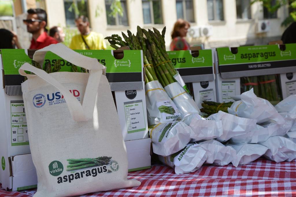 Shpargu, një produkt bujqësor me vlerë që po kultivohet në Kosovë 