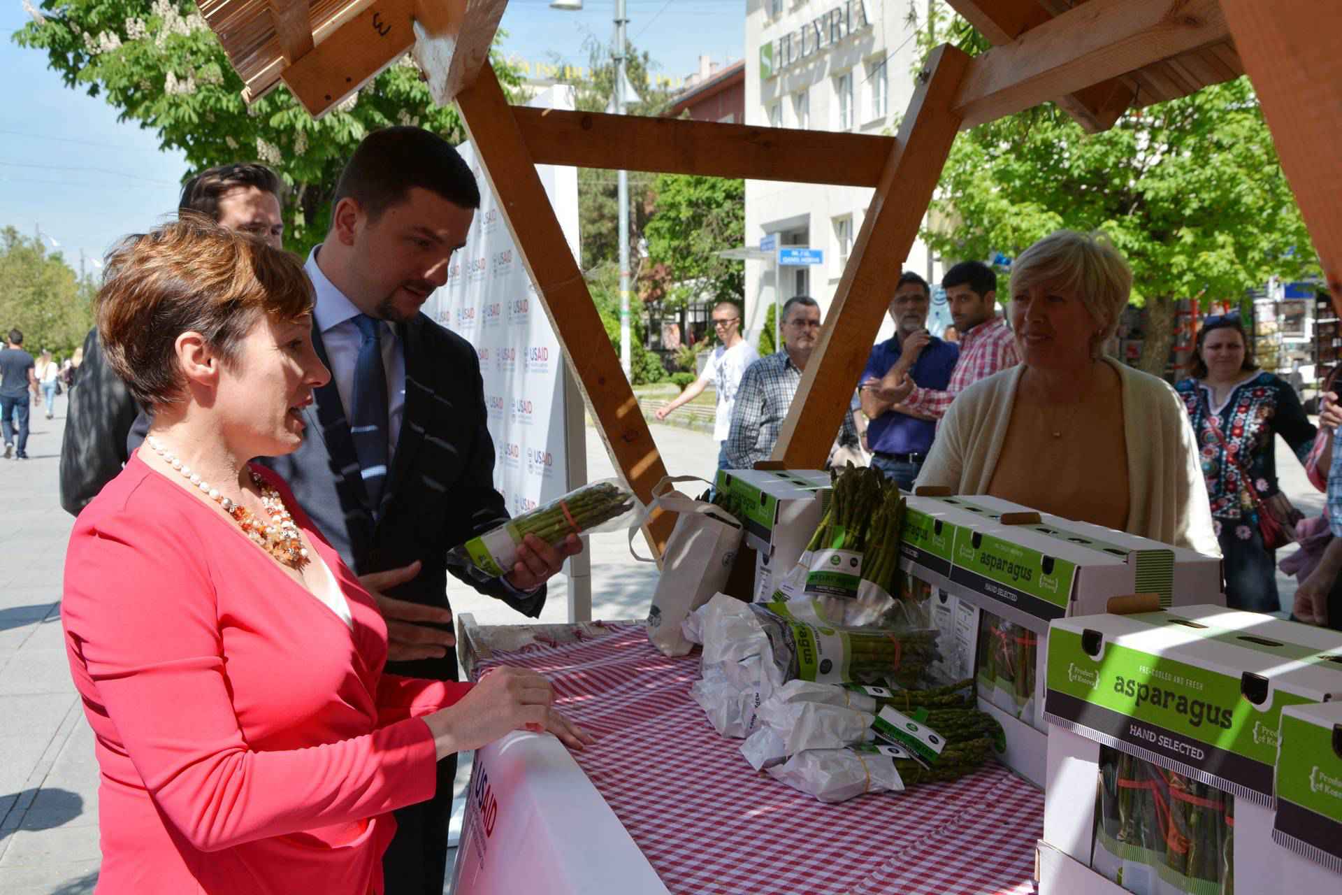 Shpargu, një produkt bujqësor me vlerë që po kultivohet në Kosovë 