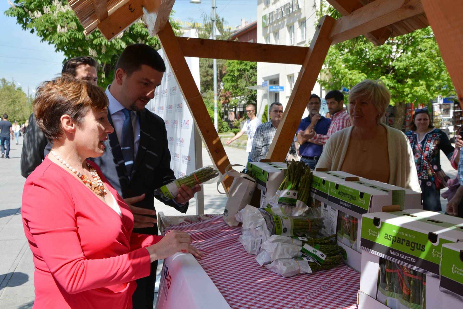 Shpargu, një produkt bujqësor me vlerë që po kultivohet në Kosovë