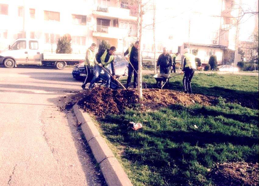 FT përkrah nismat për më shumë hapësira të gjelbra në zonat urbane