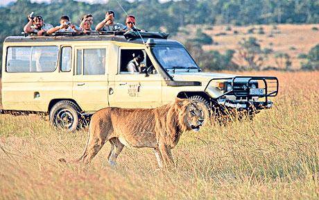 Kenia një ndër destinacionet më të mira turistike në Afrikë