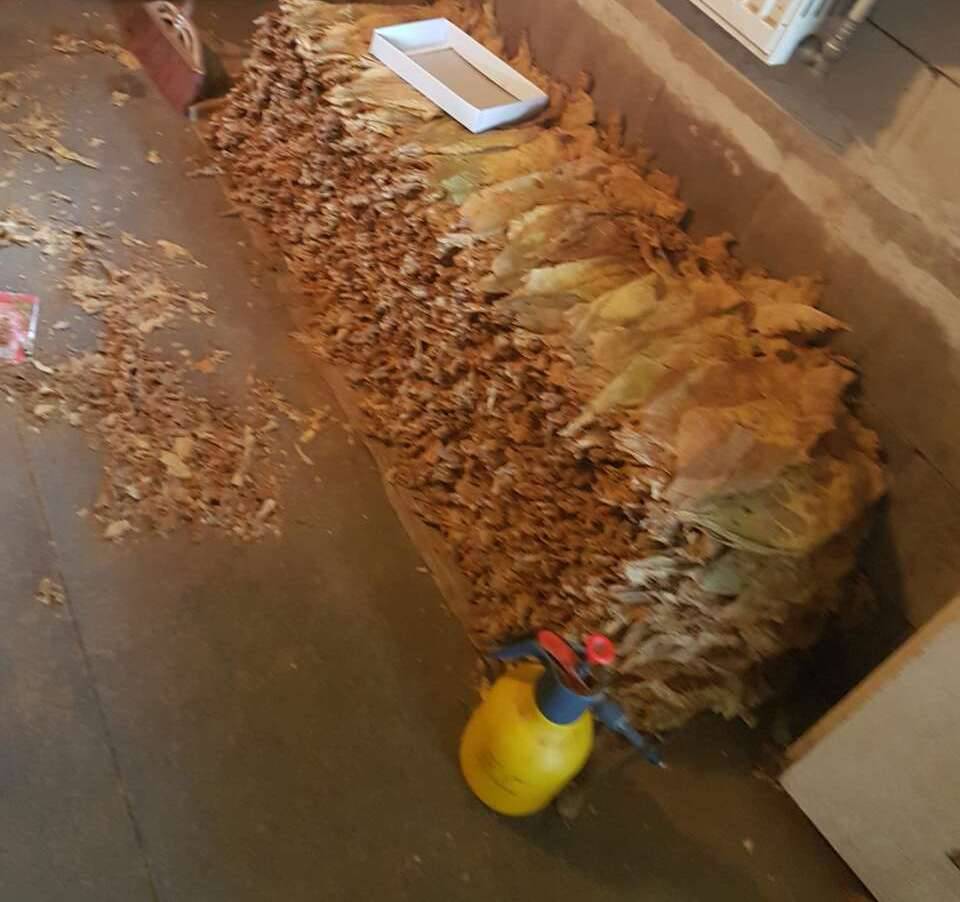 Dogana kap një sasi të cigareve pa banderola