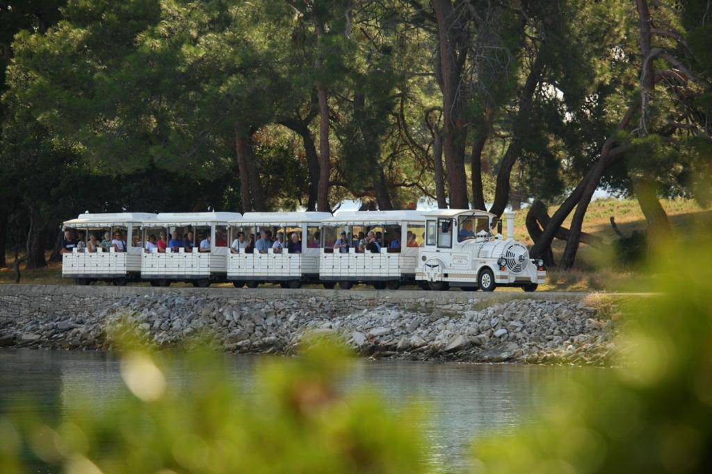 Formohet shoqata “Parqet Dinarike”, dy parqe nga Kosova pjesë e saj