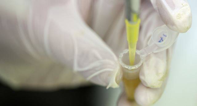 Vaksina eksperimentale kundër Ebolës mund të futet në përdorim  