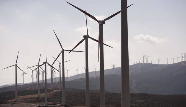 Turbinat e energjisë së erës dëmtojnë mjedisin e kafshëve  