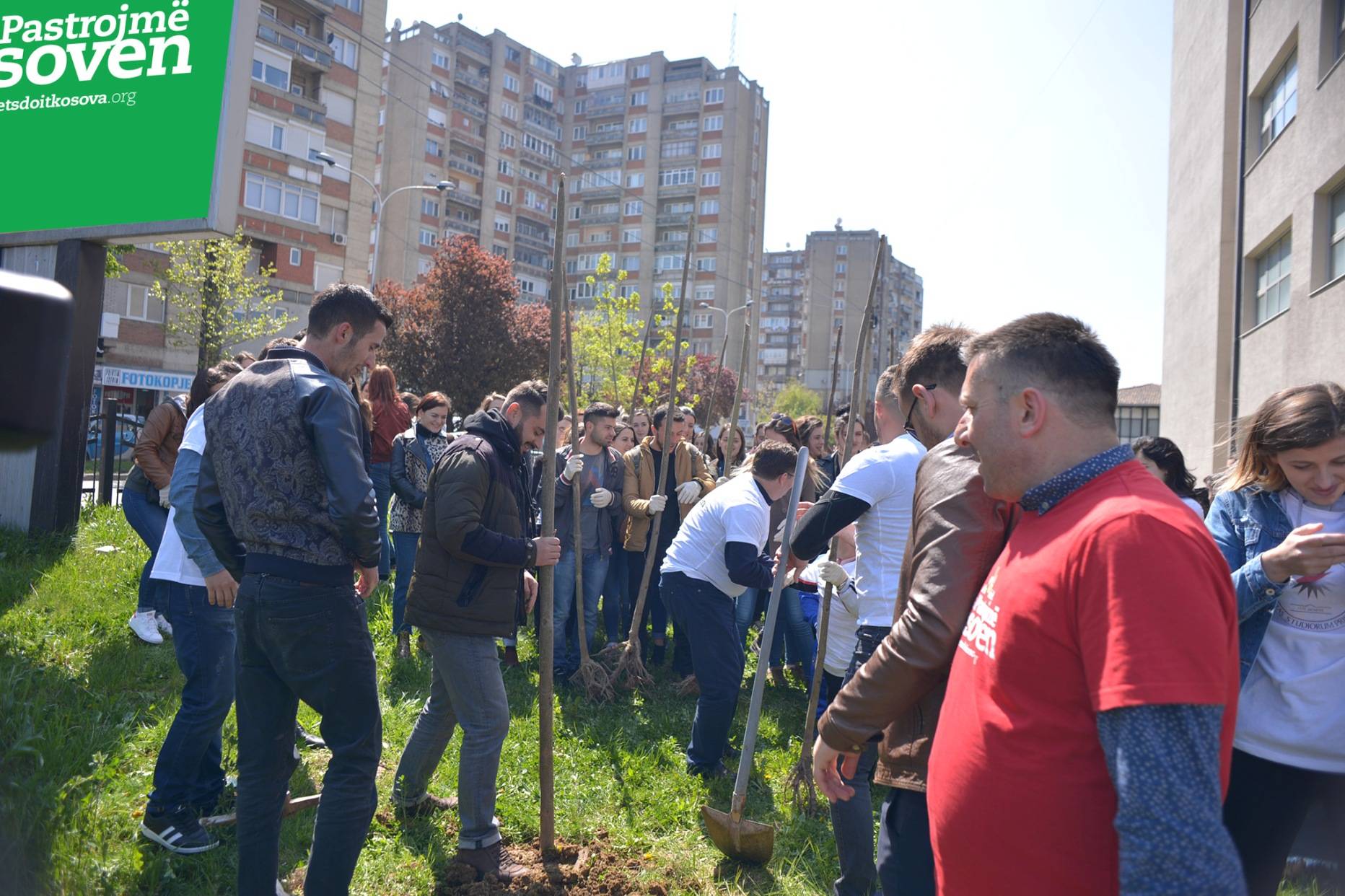 Largohen 100 thasë mbeturina dhe mbillen 22 fidanë