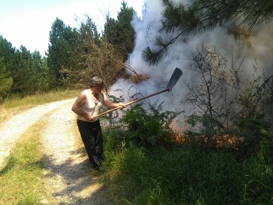 Zjarri bie në zonat e mbrojtura