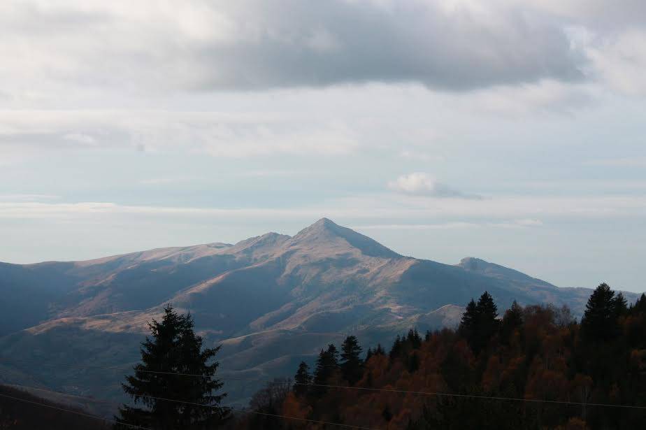 Parku kombëtar i Sharrit i lënë në harresë