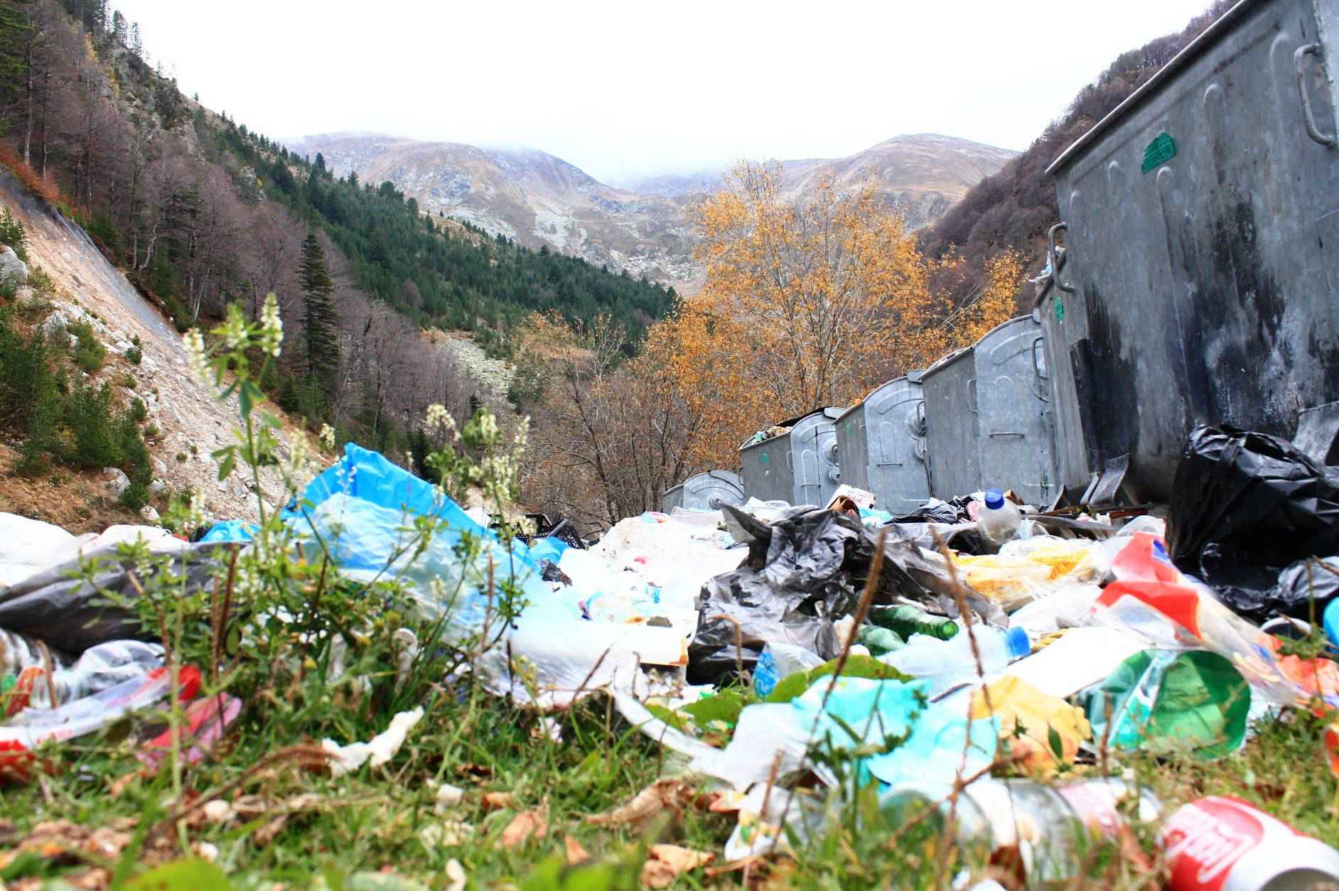 Parku kombëtar i Sharrit i lënë në harresë