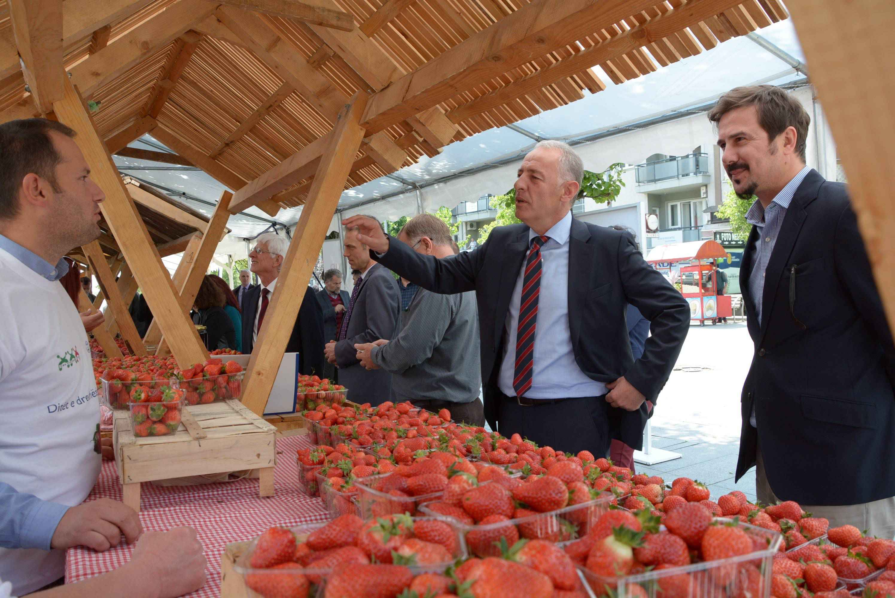   Kultivimi i dredhëzës po sjellë përfitime për fermerët