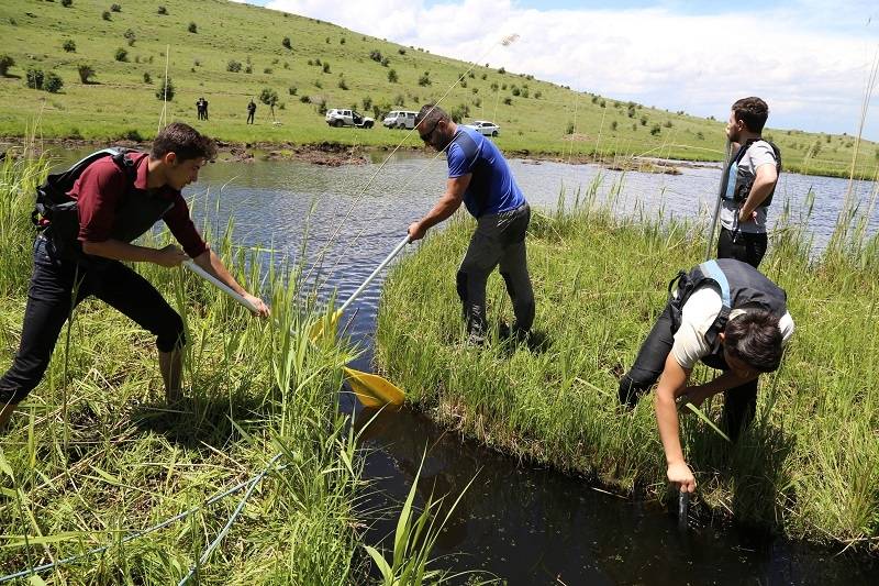 Njihuni me ishujt lundrues në Erzurum të Turqisë