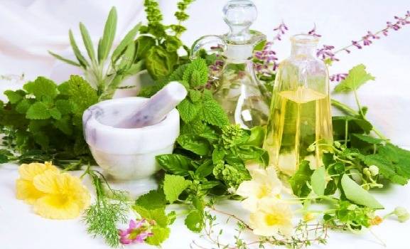 Shënohet dita e hapur fushore për bimë mjekësore dhe aromatike