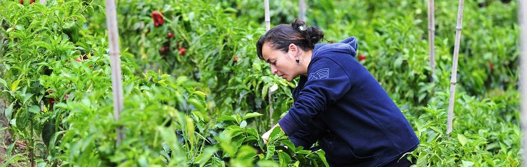 Përmbyllet projekti 'Veprimi i gruas në agrobiznes'