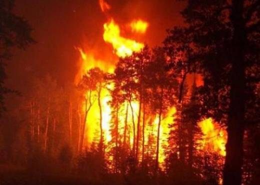 Shqipëria përfshihet nga zjarret për shkak të temperaturave të larta