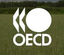 Turqia kandidate për të udhëhequr OECD-në