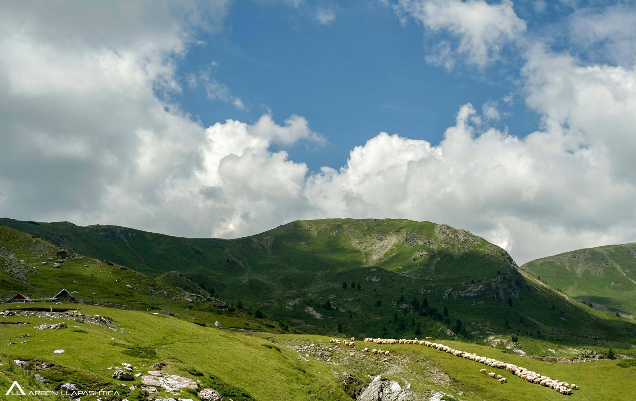 Përzgjidhen fotografitë me të mira për bujqësinë #Tokajone 2016