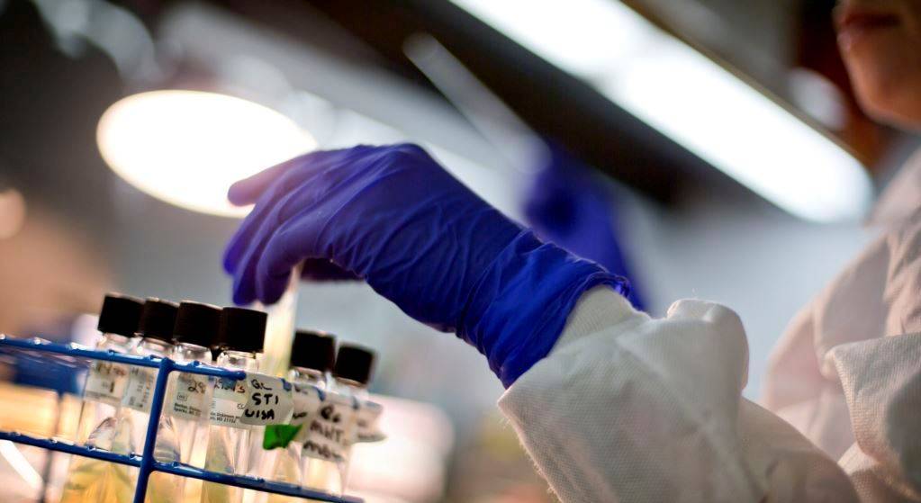 Rreziku i një bote pa antibiotikë