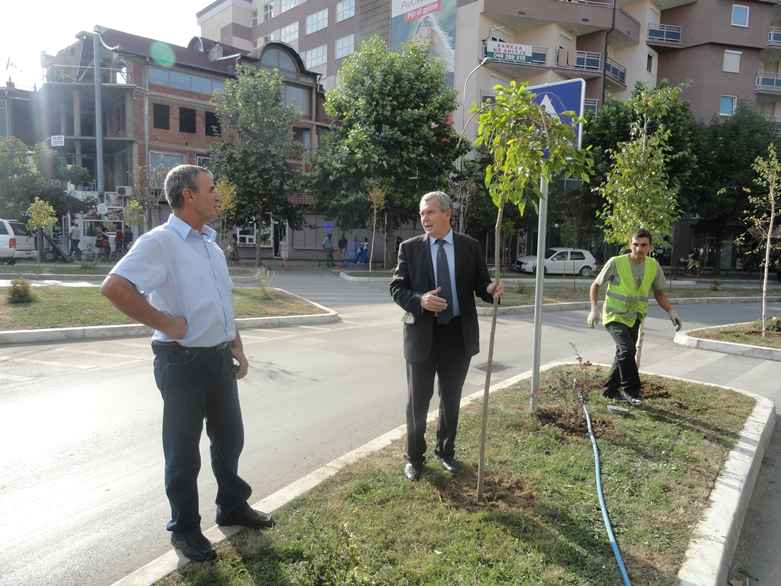 Mitrovica investon në hapësirat e gjelbëruara