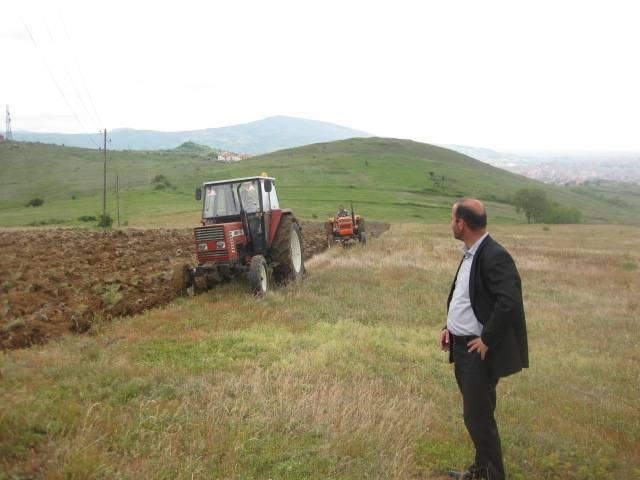 Fillon punimi i arave në veri të Mitrovicës