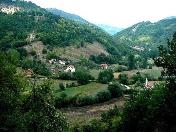 MBPZHR me Strategji të Hortikulturës