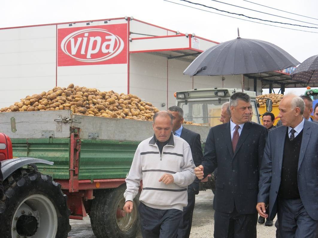 Patatja e Vushtrrisë, simbol i prodhimeve bujqësore në Kosovë