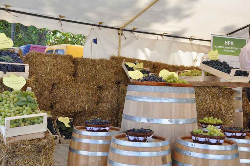 Nis festa e vjeljes së rrushit