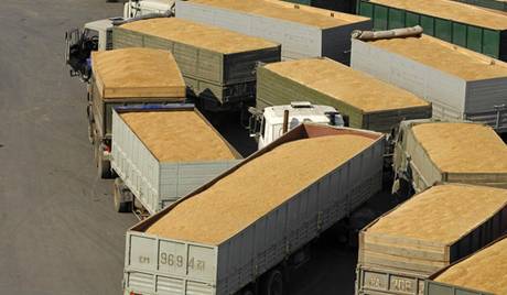 Rusia gjatë vitit 2011 ka eksportuar 17 milionë ton drithëra