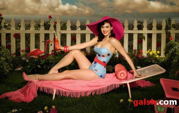 Katy Perry kërkon ndihmë nga fansat