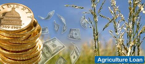 USAID mbështet sektorin e bujqësisë në Shtërpcë  