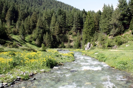 Rregullohet shtrati i lumit Erenik