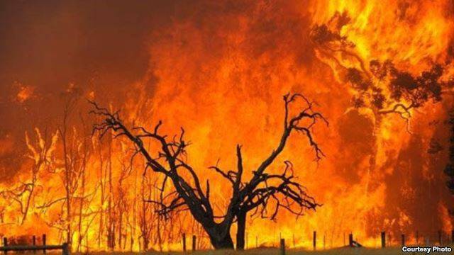 Ngrohja globale, shkak i zjarreve në Australi