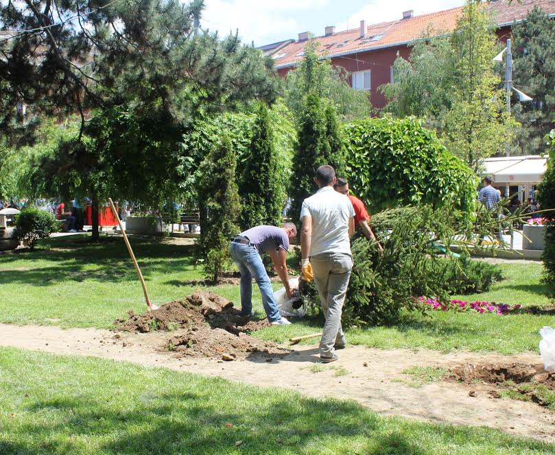 EUICC shënon Ditën Ndërkombëtarë të Mjedisit me mbjellje të drunjëve