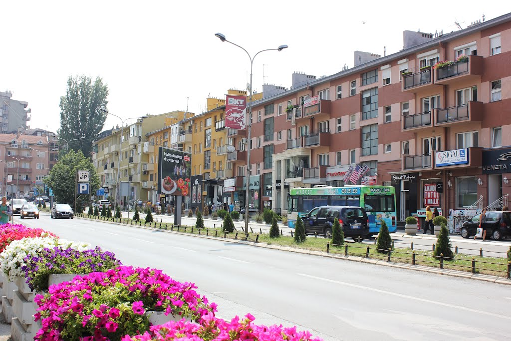 Sektori privat nuk po mbështetet
