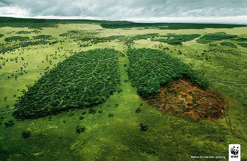 WWF e quan planetin të sëmurë 