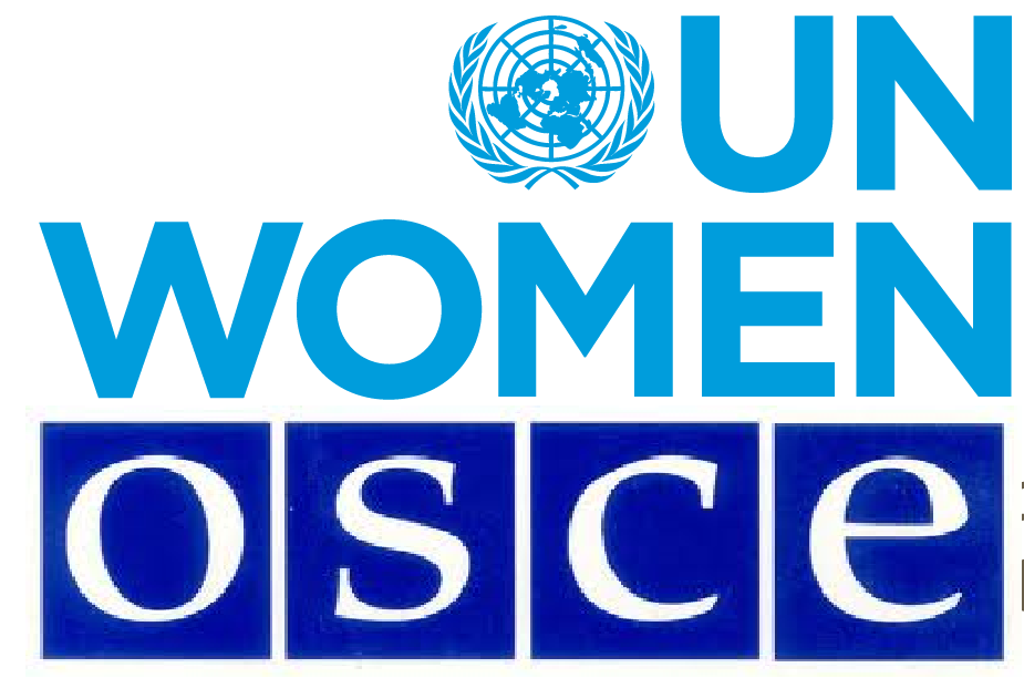 OKB e OSBE dënuan sulmin ndaj Nazlie Bales