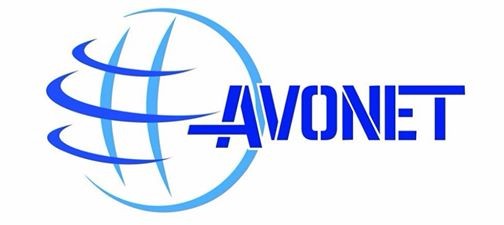 AVONET: MTI, MSH dhe MFSK me performancën më të mirë
