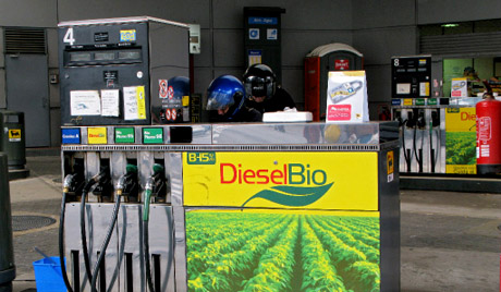 Rusia ka filluar prodhimin e biokarburantit për automobilat