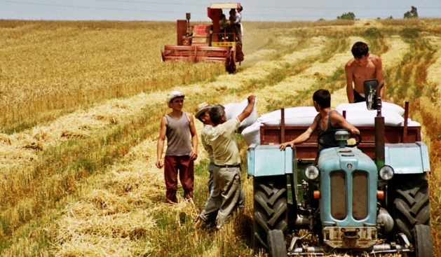 Tetë milionë euro për fermerët shqiptarë 