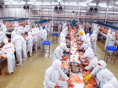 Prokuroria mbyll dy fabrika të prodhimit të mishit në Komunën e Dragashit