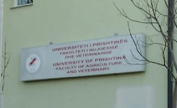 Oda e Veterinerëve kërkon hapjen e infermierisë veterinere
