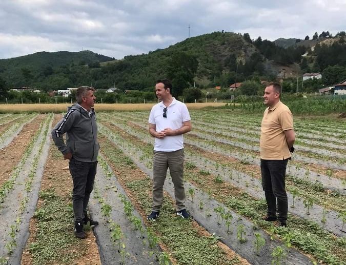 MBPZHR angazhohet që sigurimet të përfshijnë shumicën e kulturave bujqësore