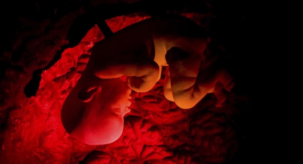 Prindërit mund të jenë të zgjedhin një fëmijë nga qindra embrione